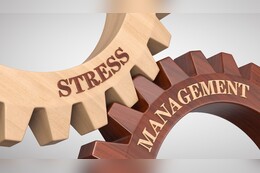 Stressmanagement-Ausbildung & -Weiterbildung: Die Top10-Anbieter im Vergleich