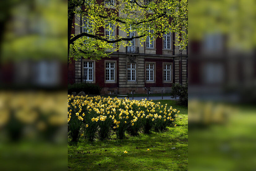 Fotokurs mit Fototour Schloß &amp; Botanischer Garten