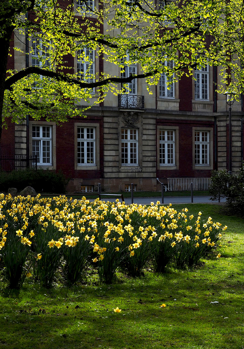 Fotokurs mit Fototour Schloß &amp; Botanischer Garten