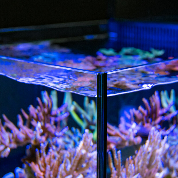 Red Sea MAX NANO Peninsula Aquarium [45 x 58,5 x 45 cm]