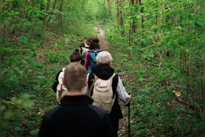 Wildkräuterwanderung: Pflanzen und Seele