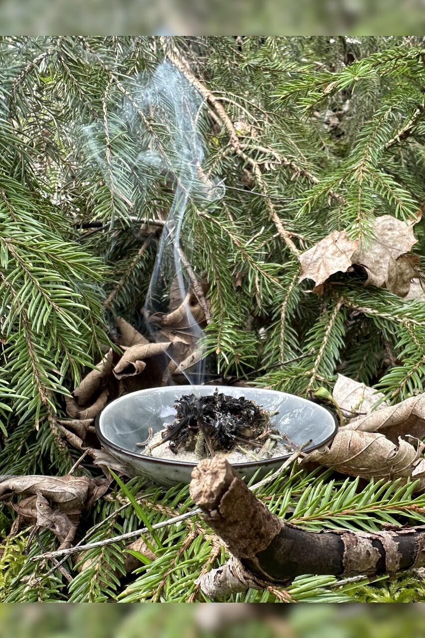 Bio Räuchermischung „Waldbaden“ 10g