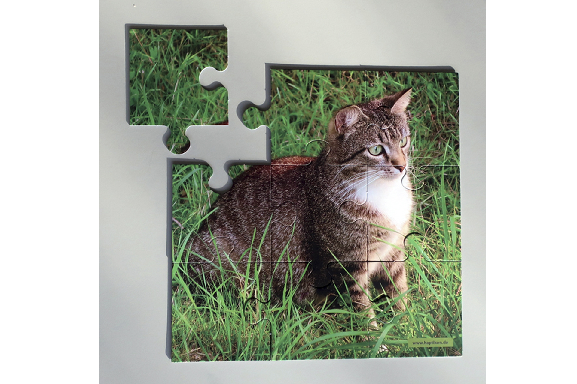 Katzenpirsch 9 Teile Puzzle-Freude auf 30 cm x 30 cm mit Impulsen zum Erinnern und Erzählen.