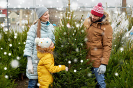 Weihnachtsbaum selber schlagen: Alle Termine in der Nähe von Frankfurt, Wiesbaden, Kassel & ganz Hessen