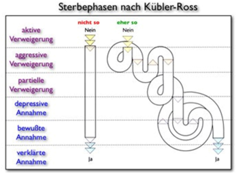 5 Phasen Der Trauer & Des Sterbens 🥇Infografik Nach Kübler-Ross