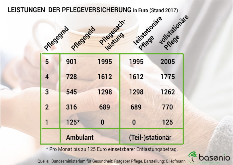 Alle Leistungen Der Gesetzlichen Pflegeversicherung Für 2019